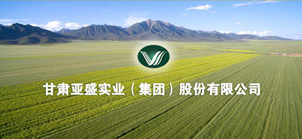 甘肃亚盛实业(集团)股份有限公司