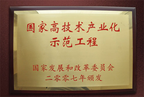 国家高技术产业化示范工程